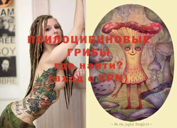 винт Алексин