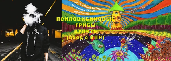 винт Алексин