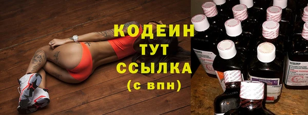 гидра Майский