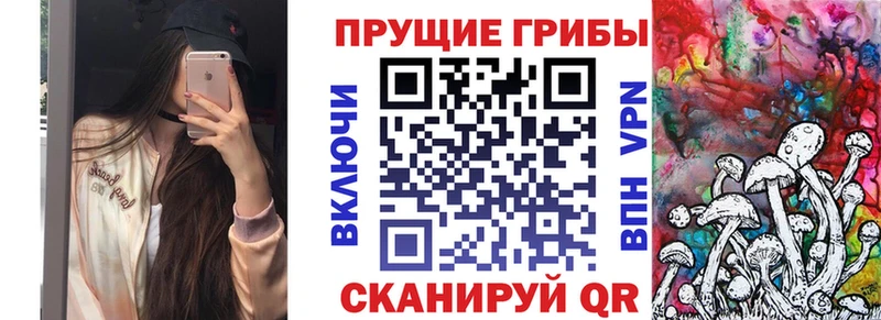 Псилоцибиновые грибы прущие грибы цены Самара
