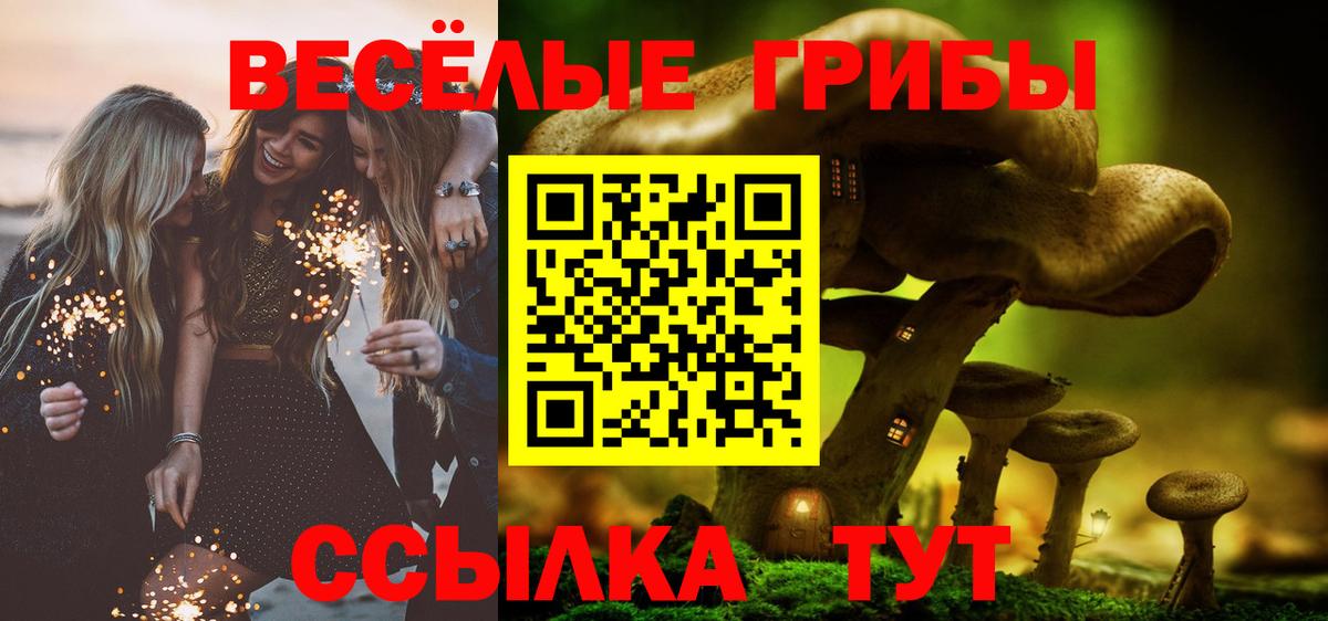 где можно купить наркотик  Вход с VPN  Самара  Галлюциногенные грибы MAGIC MUSHROOMS  Псилоцибиновые грибы Cubensis 